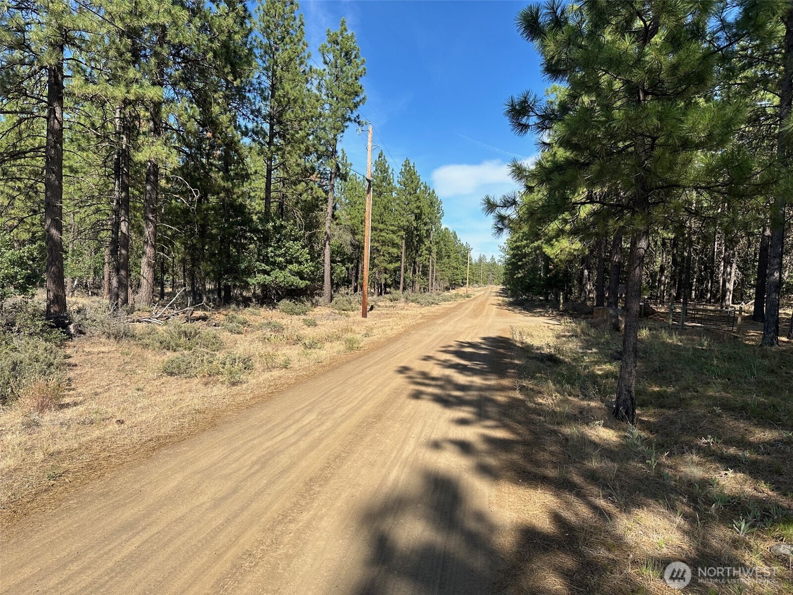 0 Lee Road Goldendale, WA 98620 - Photo 2 of 9 a view of a yard with trees