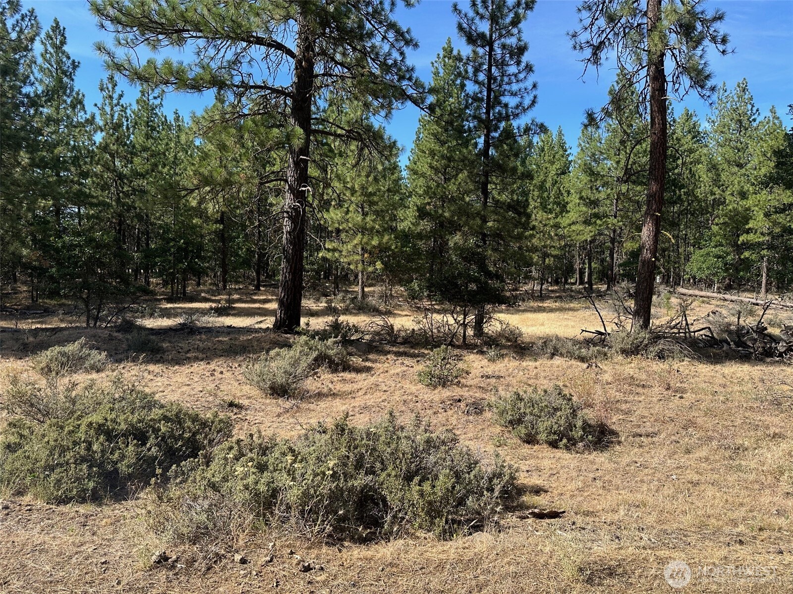 0 Lee Road Goldendale, WA 98620 - Photo 3 of 9 a view of outdoor space with trees