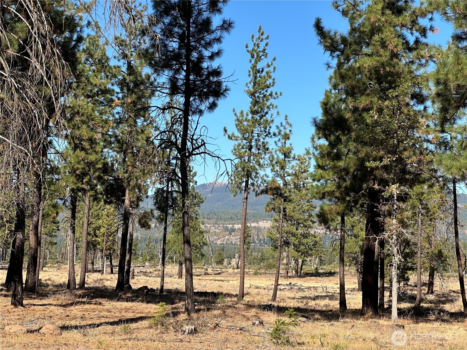 0 Lee Road Goldendale, WA 98620 - Photo 4 of 9