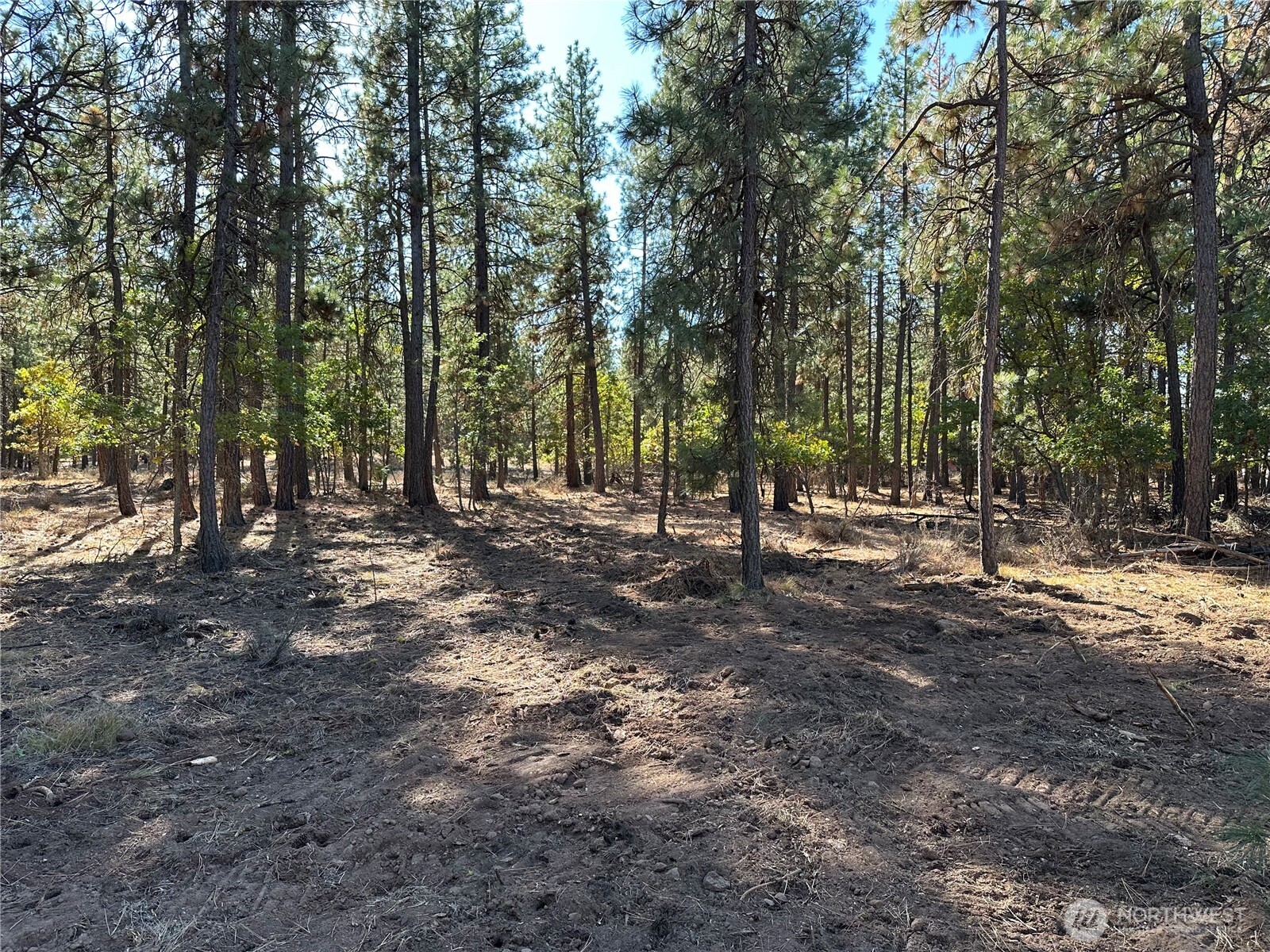 0 Lee Road Goldendale, WA 98620 - Photo 7 of 9 a view of outdoor space with tree s