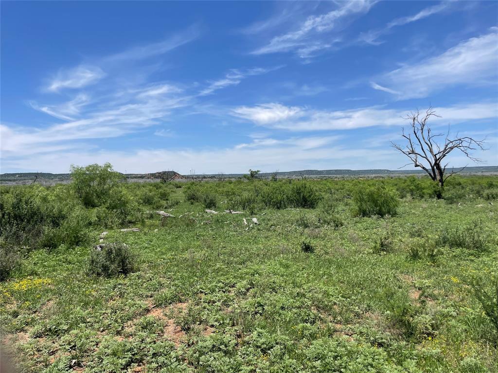 a view of a green field