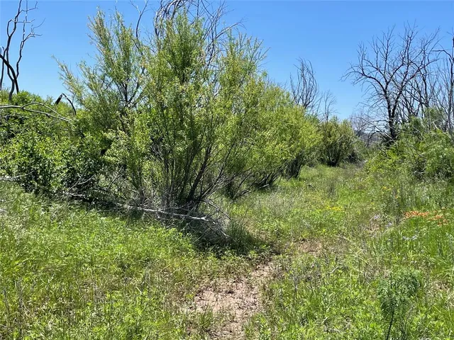 a big yard with lots of green space and deers