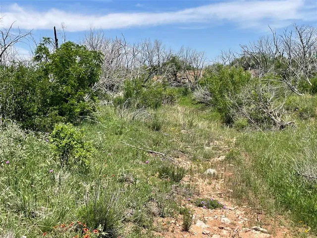 a view of a yard and an ocean