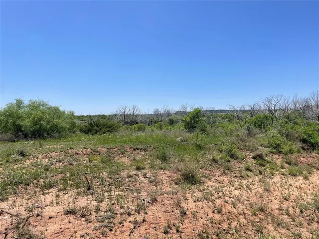 a view of a field with trees in the background