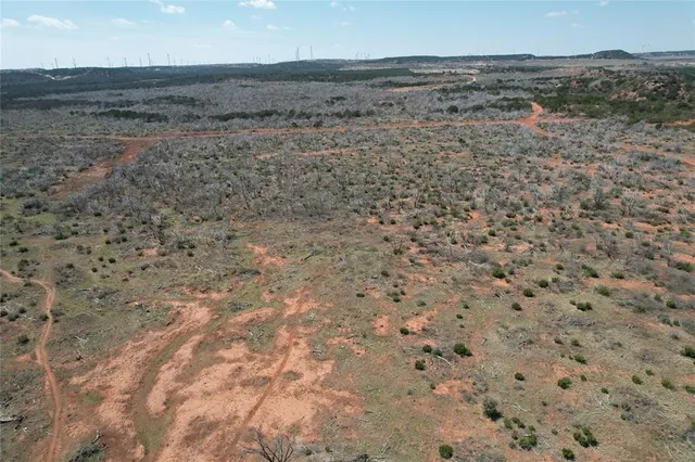 a view of a dry yard