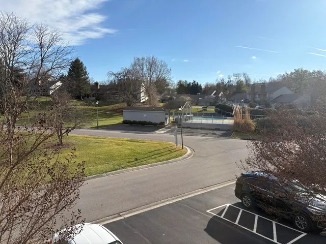 a view of a backyard with plants and lake view