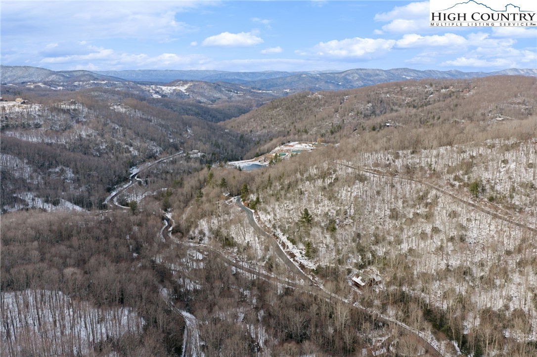 545 Pinnacle Ridge Road Beech Mountain, NC 28604 - Photo 6 of 6