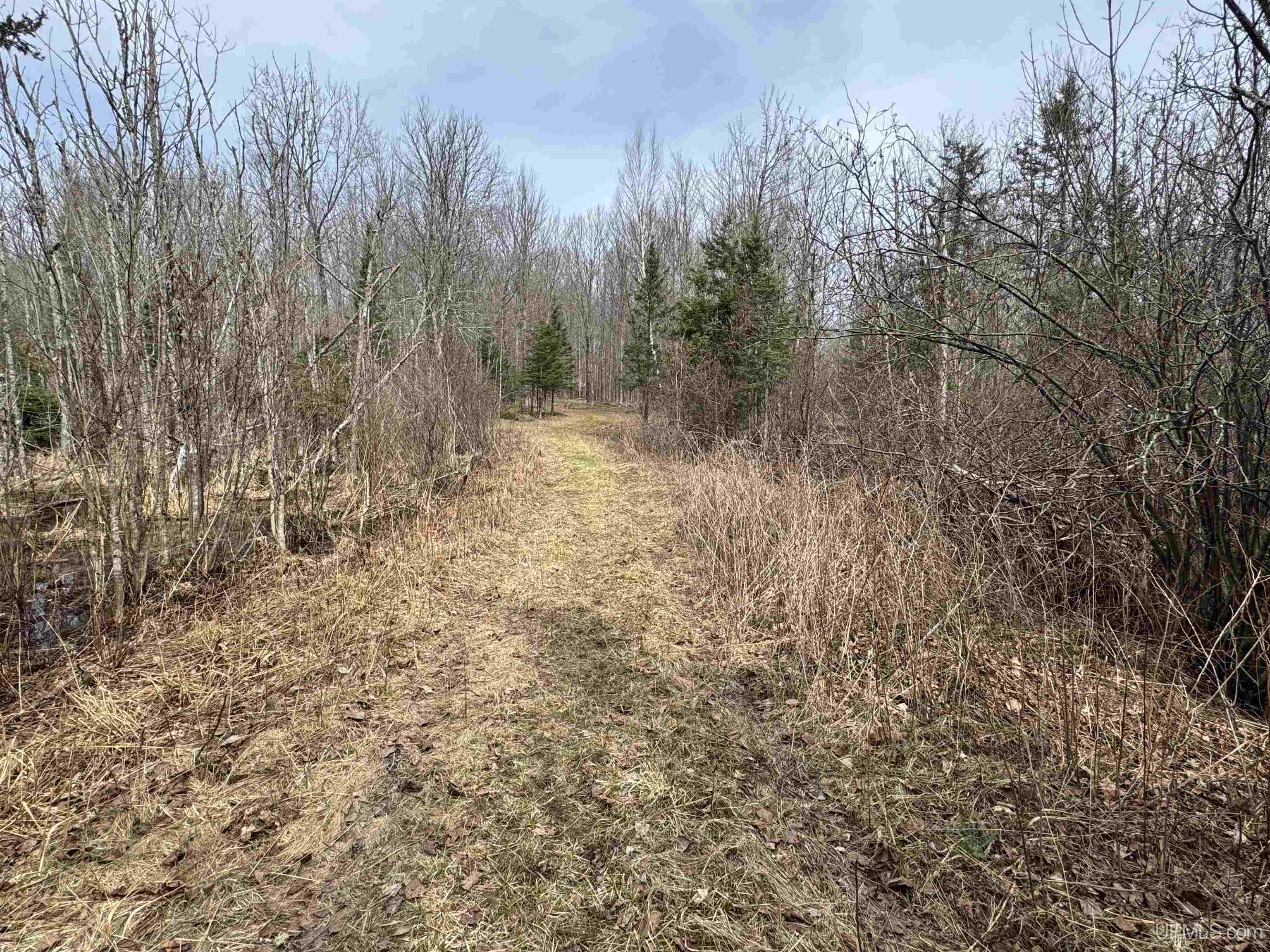 6572 East Maple Ridge 37th Road Rapid River, MI 49878 - Photo 28 of 45