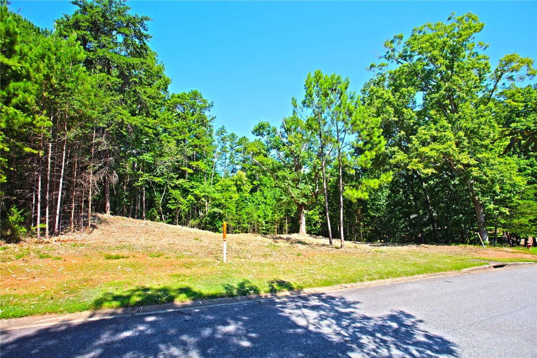 Lot 27 Crestview Seneca, SC 29672 - Photo 13 of 49 Gallery Image 13