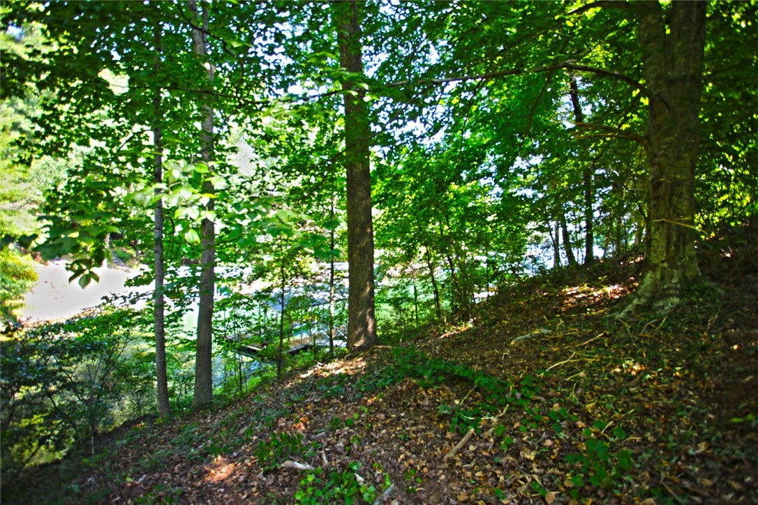 Lot 27 Crestview Seneca, SC 29672 - Photo 27 of 49 Gallery Image 27