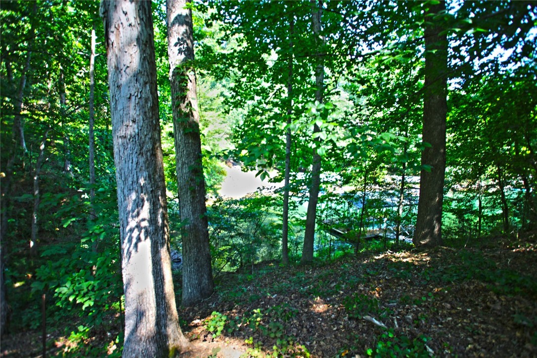 Lot 27 Crestview Seneca, SC 29672 - Photo 28 of 49 Gallery Image 28