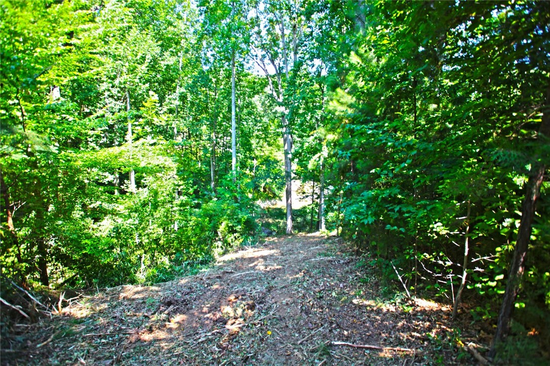 Lot 27 Crestview Seneca, SC 29672 - Photo 31 of 49 Gallery Image 31