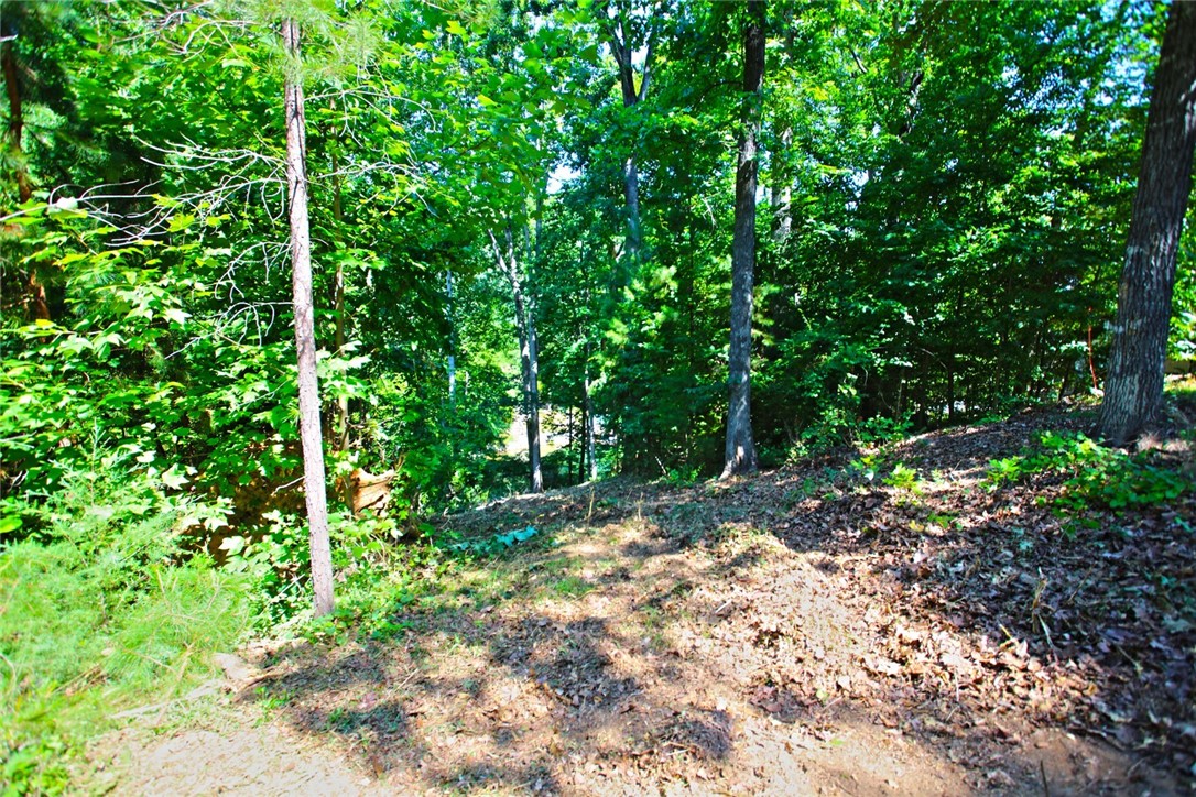 Lot 27 Crestview Seneca, SC 29672 - Photo 33 of 49 Gallery Image 33