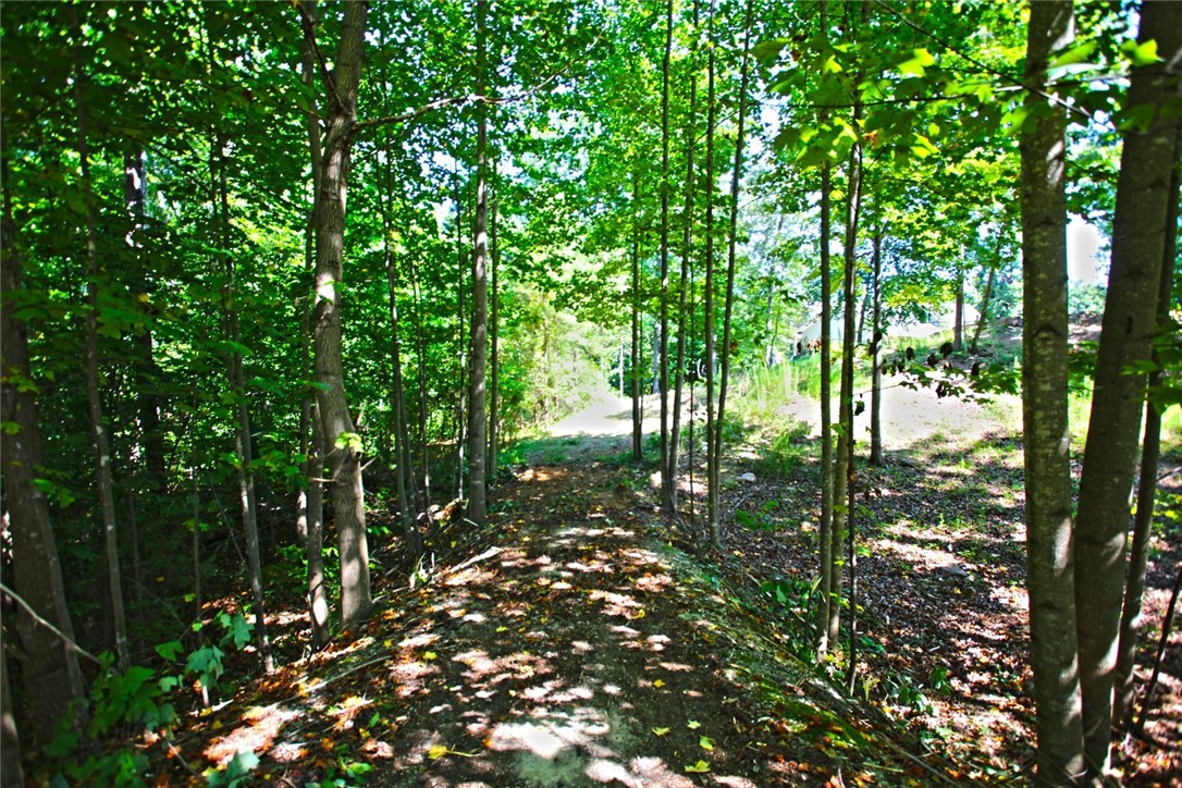 Lot 27 Crestview Seneca, SC 29672 - Photo 34 of 49 Gallery Image 34