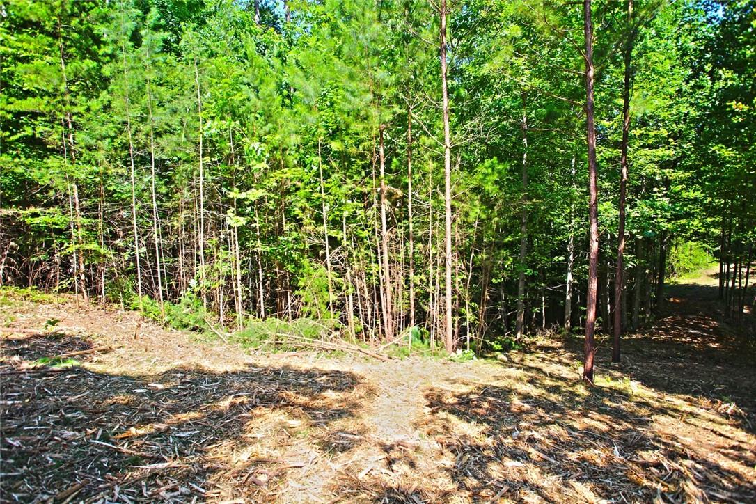 Lot 27 Crestview Seneca, SC 29672 - Photo 36 of 49 Gallery Image 36