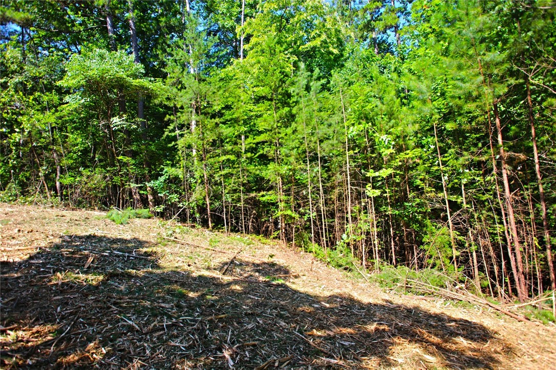Lot 27 Crestview Seneca, SC 29672 - Photo 37 of 49 Gallery Image 37