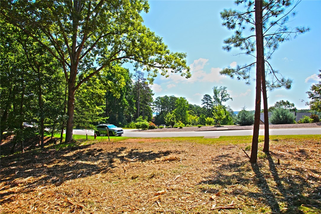 Lot 27 Crestview Seneca, SC 29672 - Photo 39 of 49 Gallery Image 39