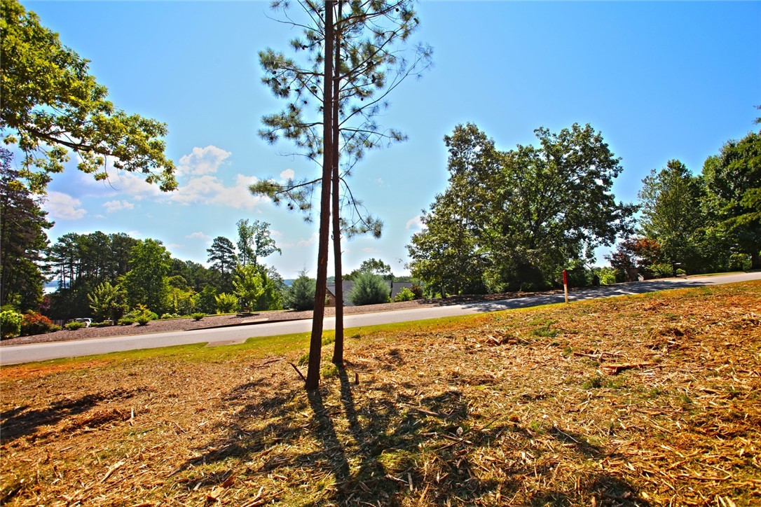 Lot 27 Crestview Seneca, SC 29672 - Photo 40 of 49 Gallery Image 40