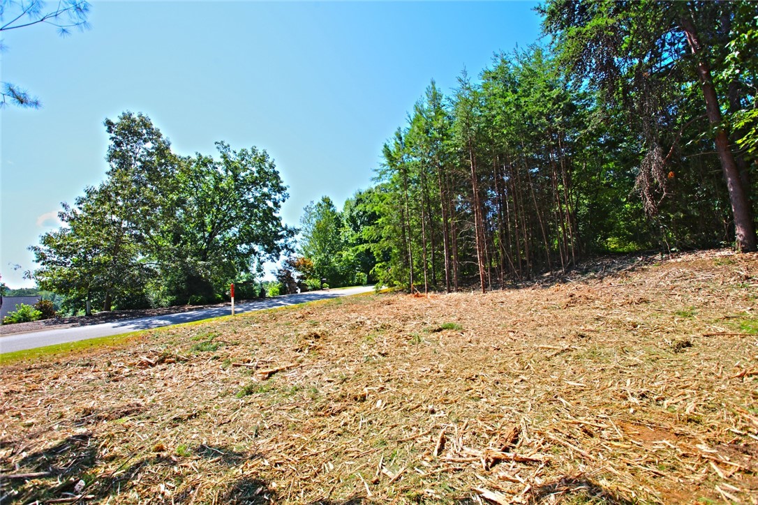 Lot 27 Crestview Seneca, SC 29672 - Photo 41 of 49 Gallery Image 41