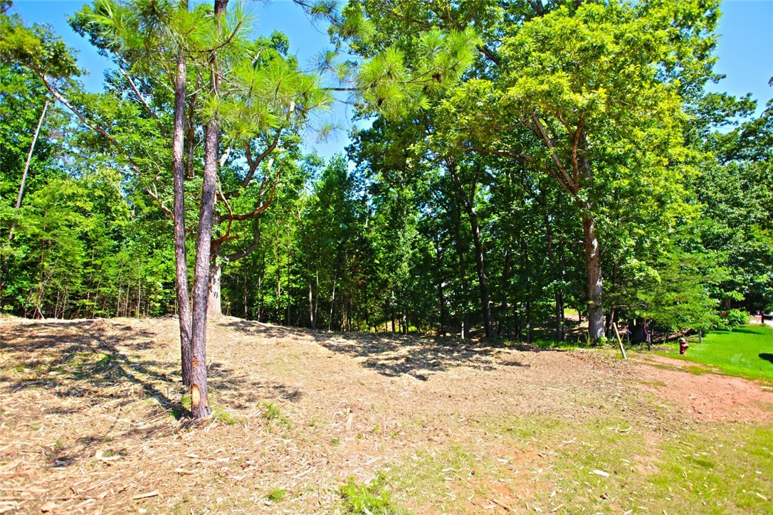 Lot 27 Crestview Seneca, SC 29672 - Photo 42 of 49 Gallery Image 42