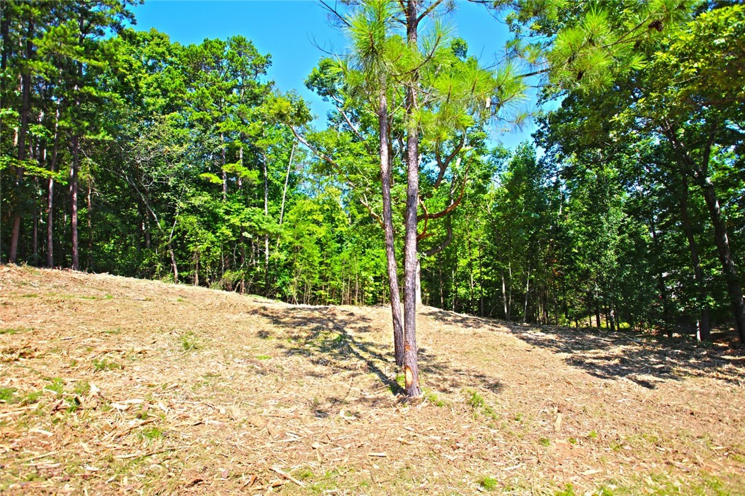 Lot 27 Crestview Seneca, SC 29672 - Photo 43 of 49 Gallery Image 43