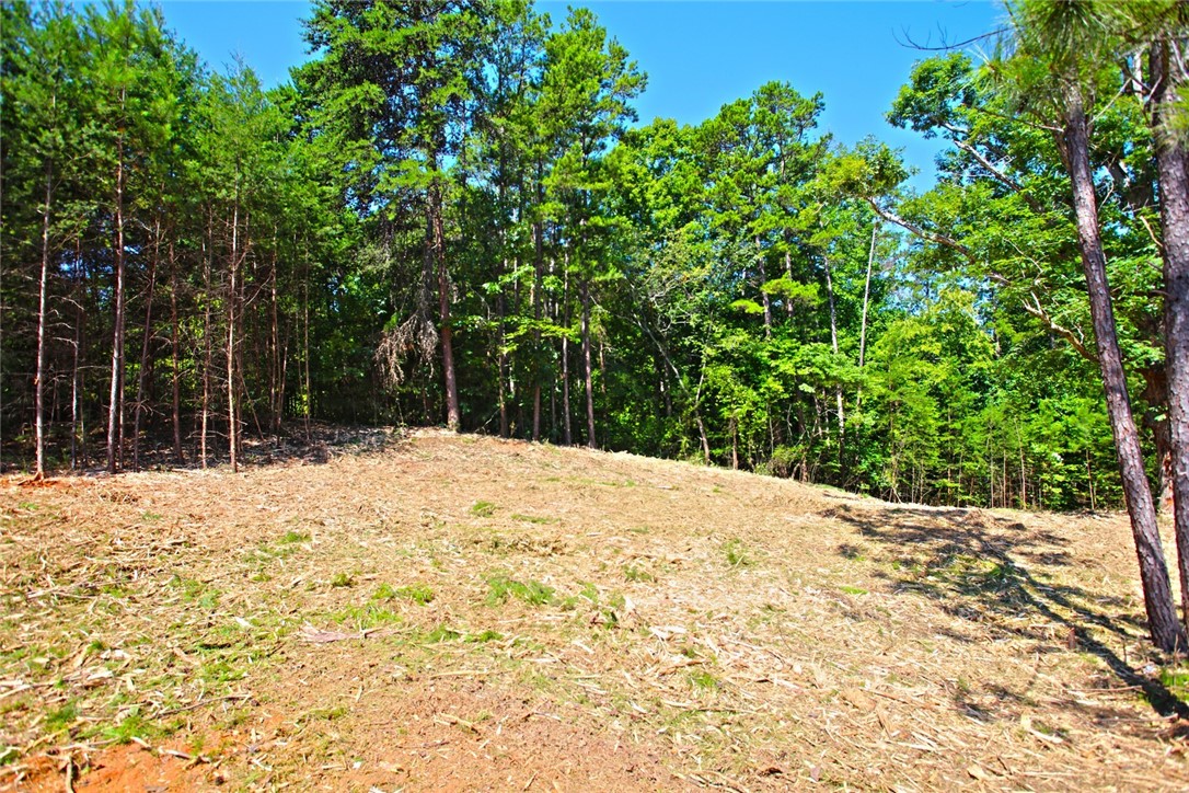 Lot 27 Crestview Seneca, SC 29672 - Photo 44 of 49 Gallery Image 44