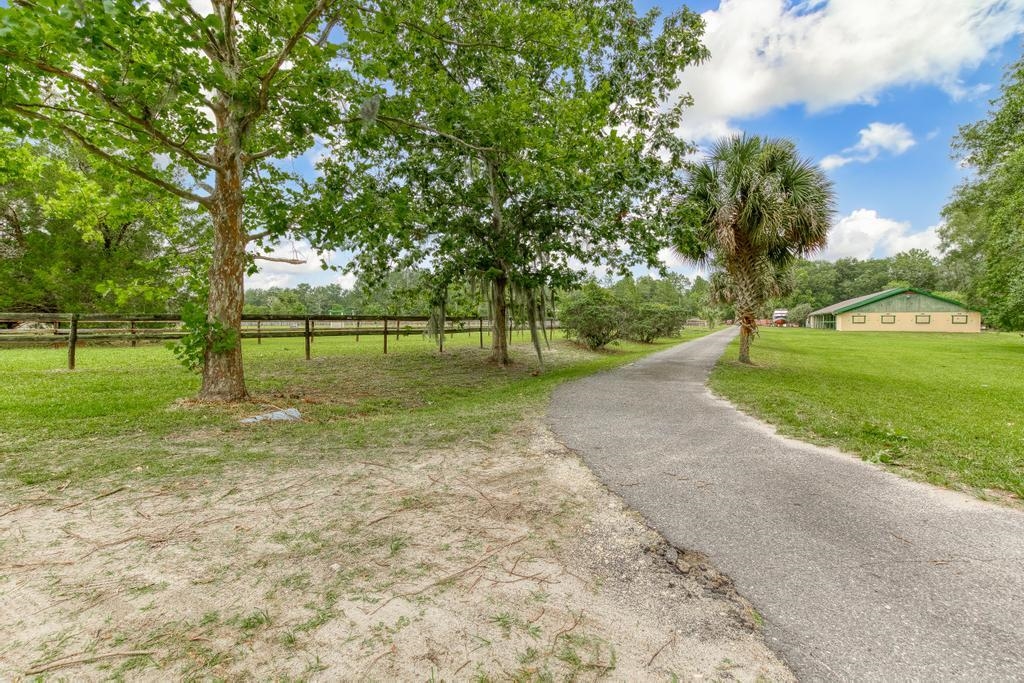2005 Bennett Road St. Augustine, FL 32092 - Photo 66 of 95 a view of a park with tree s