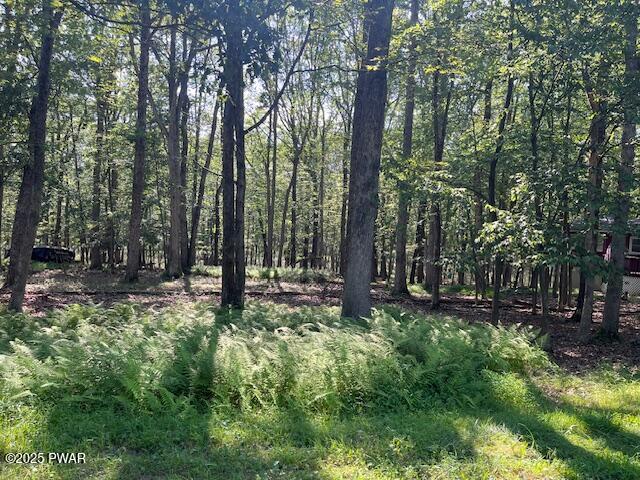 163 Butternut Road Milford, PA 18337 - Photo 2 of 9 BUTTERNUT LOT 17 S2 B20 6