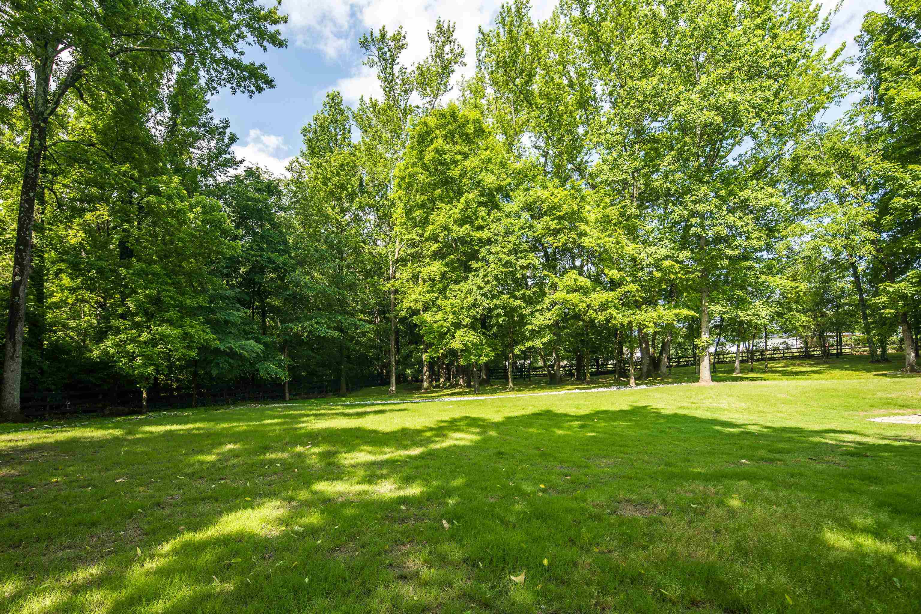 35 Spruce Valley Lane Piperton, TN 38017 - Photo 39 of 39 a backyard of a house with lots of green space and trees all around