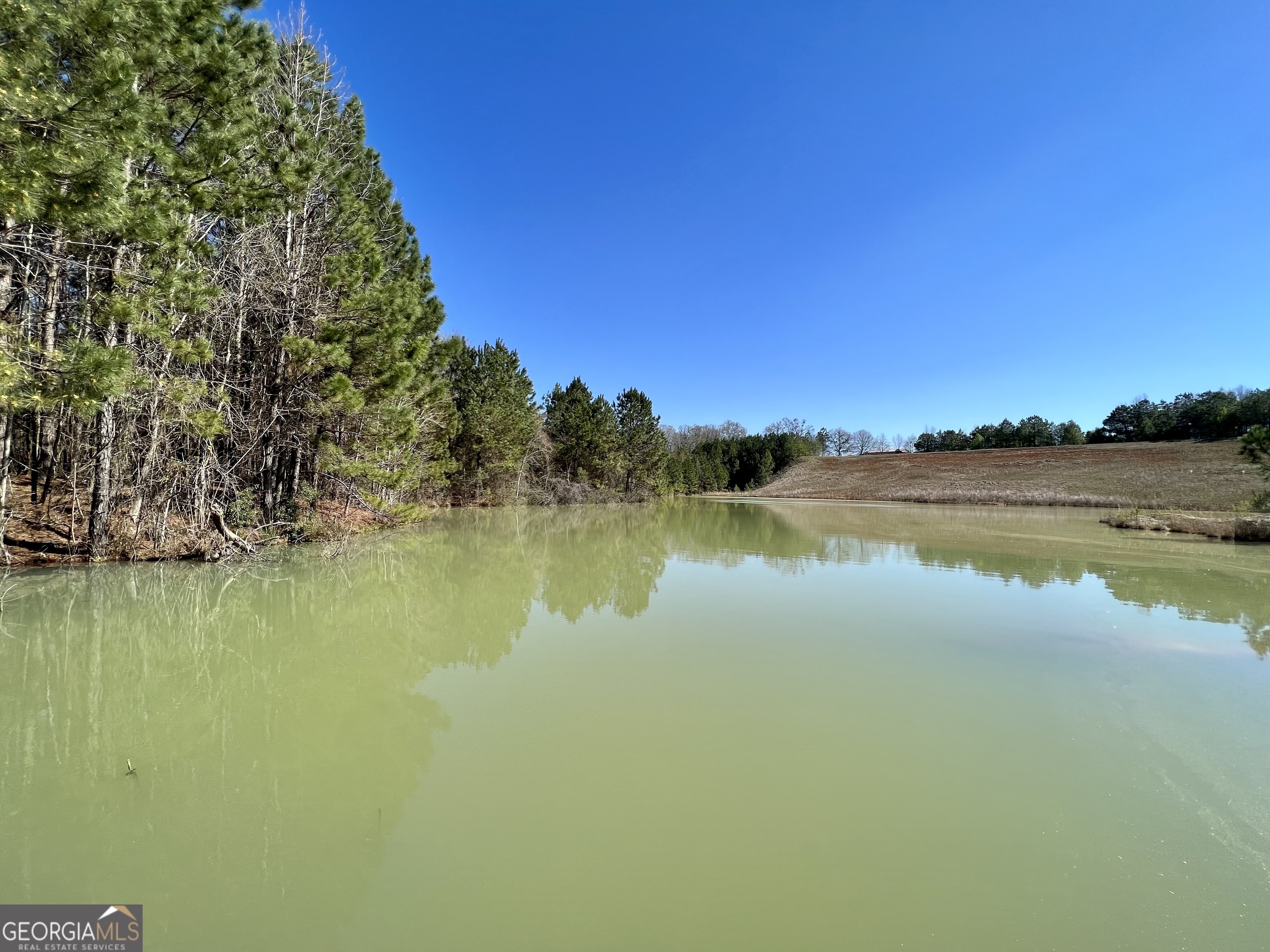 0 Bear Branch Road Kathleen, GA 31047 - Photo 1 of 1 Gallery Image 1