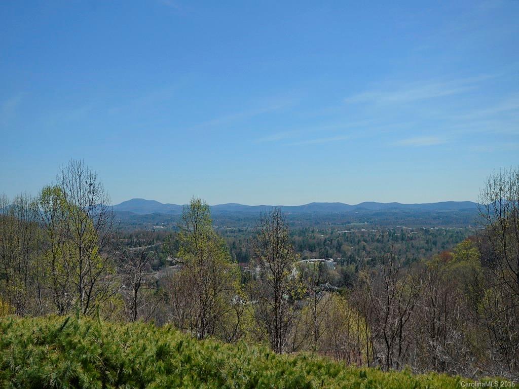 137 Country Ridge Road, Unit 11 Hendersonville, NC 28739 - Photo 8 of 24
