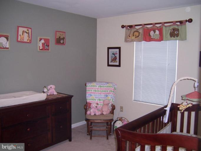 219 Roth Avenue Taneytown, MD 21787 - Photo 25 of 29 Unique #1