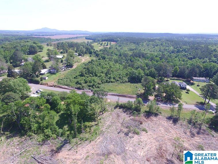 Kymulga Road, Unit 51 Childersburg, AL 35044 - Photo 4 of 4