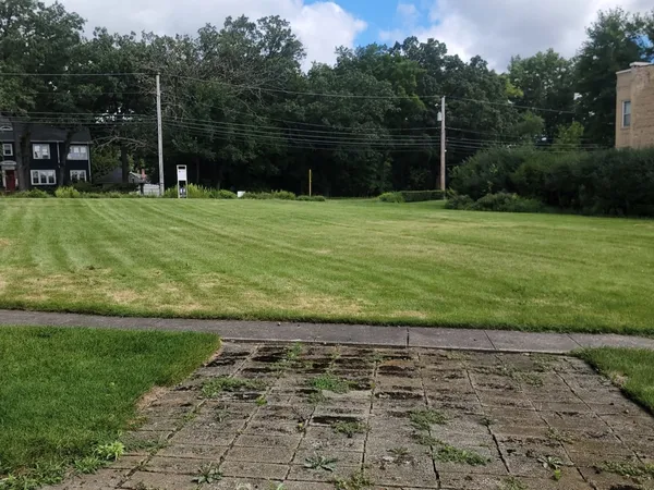 a view of a field with a big yard