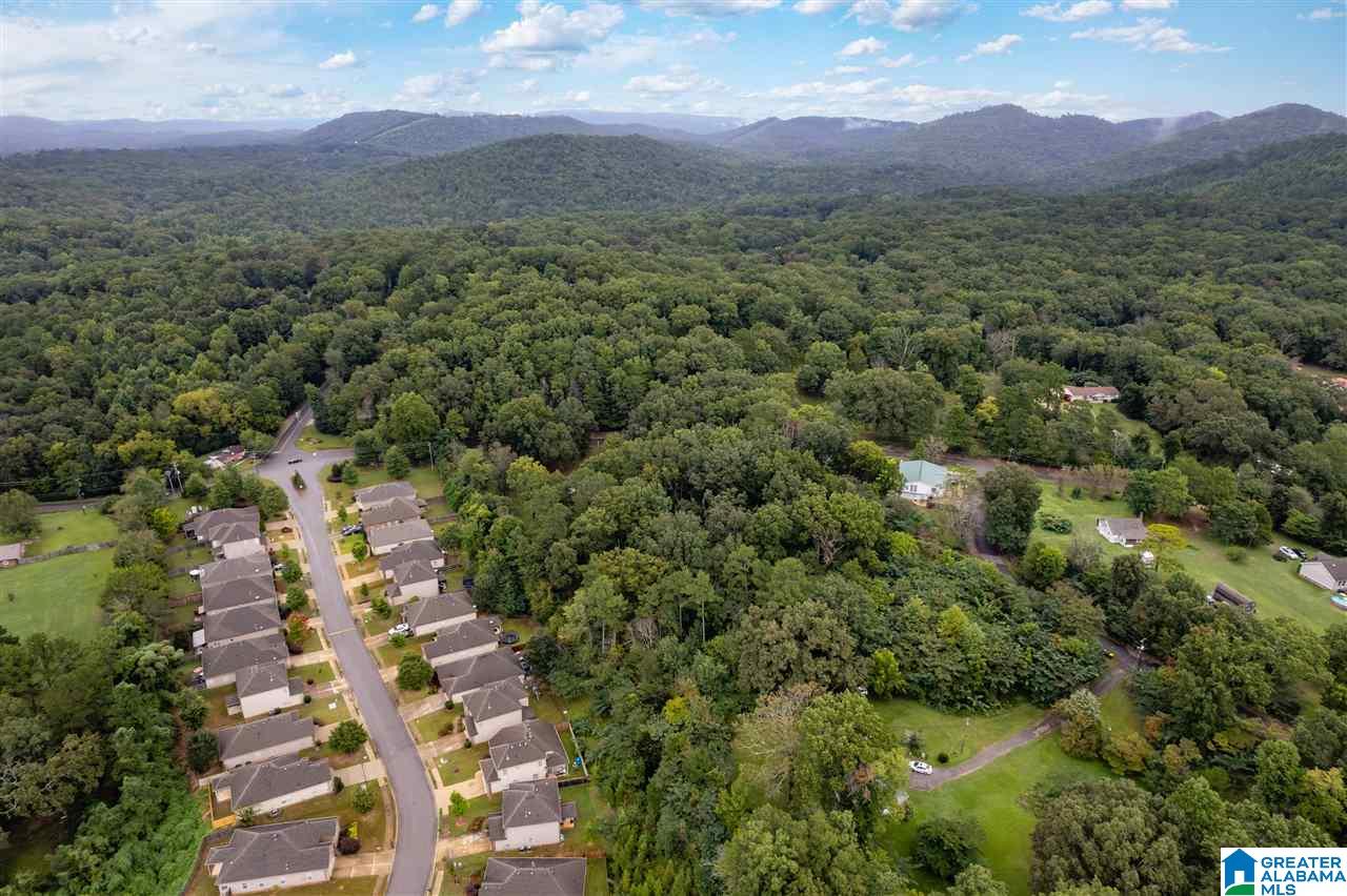 5525 Dewey Heights Road Pinson, AL 35126 - Photo 39 of 40