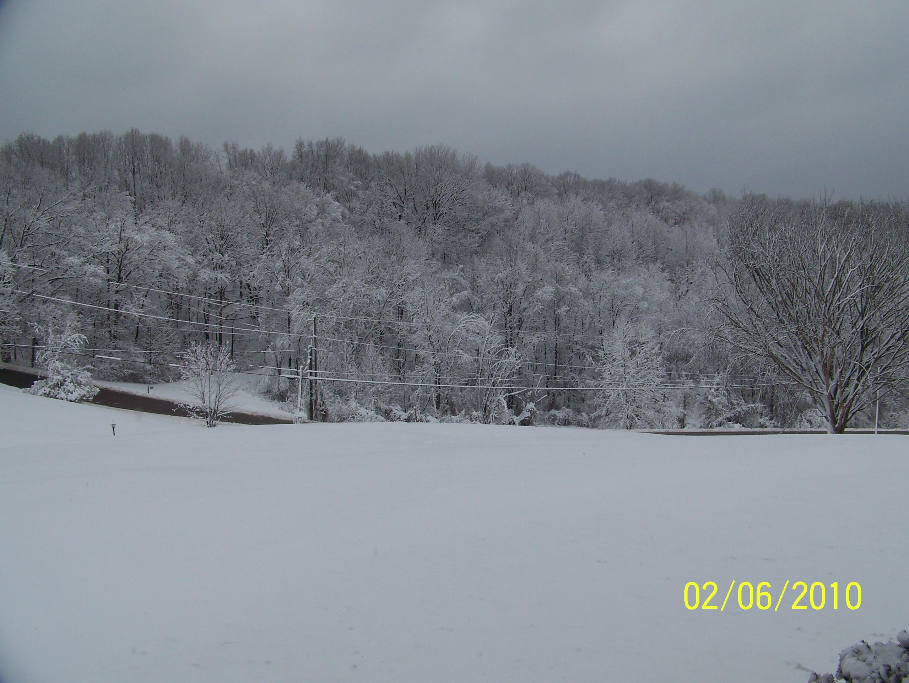 1700 Clay Bank Road Logan, OH 43138 - Photo 35 of 36 snow front yard2