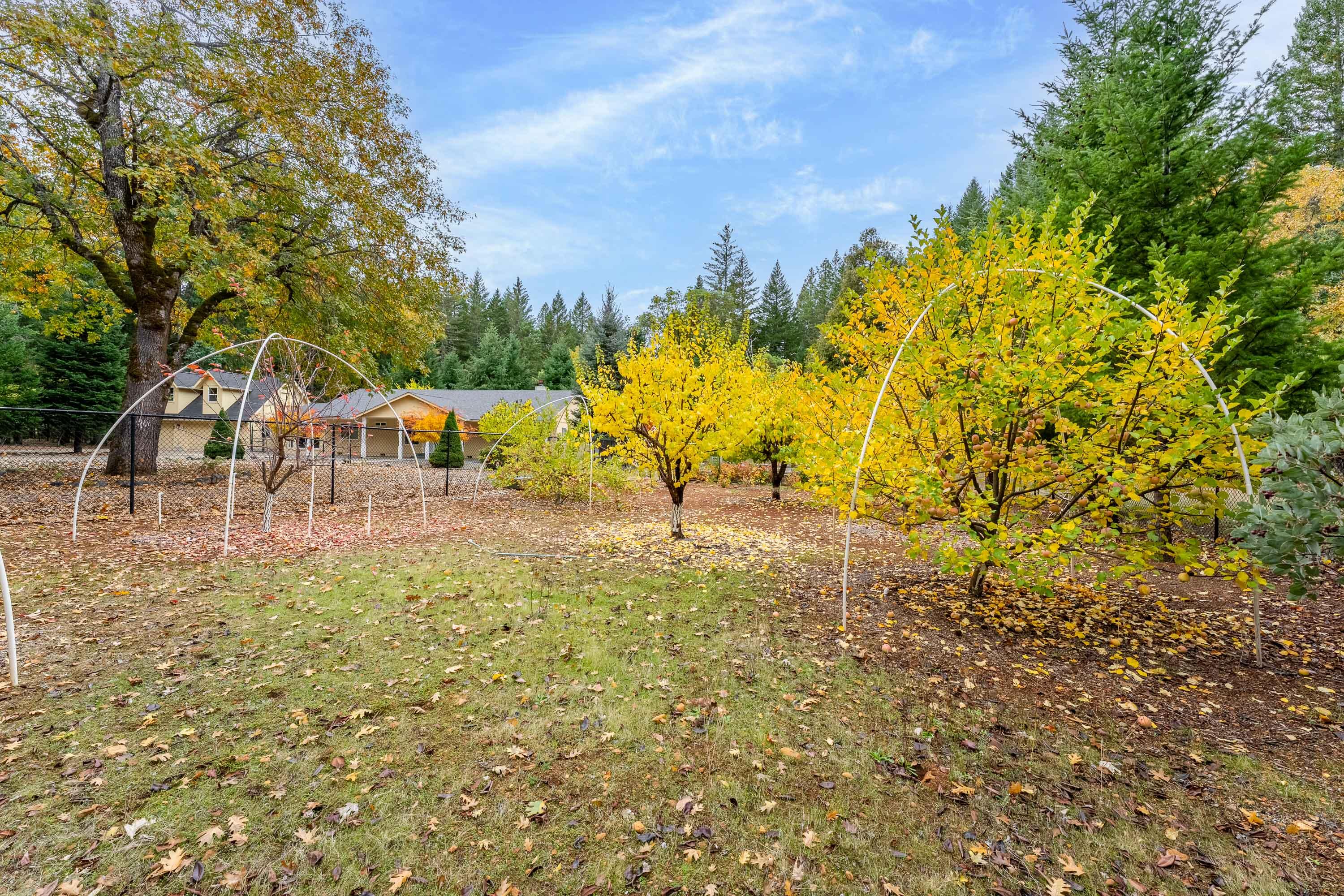 335 Cornett Lane Cave Junction, OR 97523 - Photo 42 of 55 EXT (15 of 23)