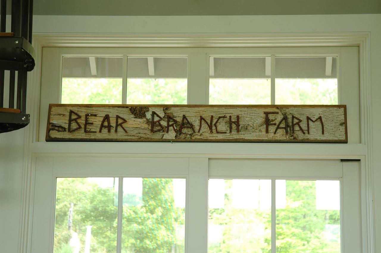 4981 Laurel Road Shipman, VA 22971 - Photo 20 of 34 a front door with a window