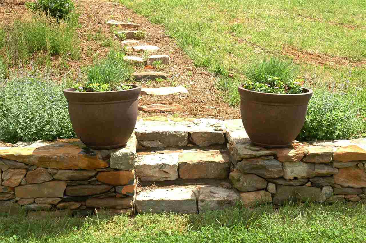 4981 Laurel Road Shipman, VA 22971 - Photo 23 of 34 a view of a small yard with large trees