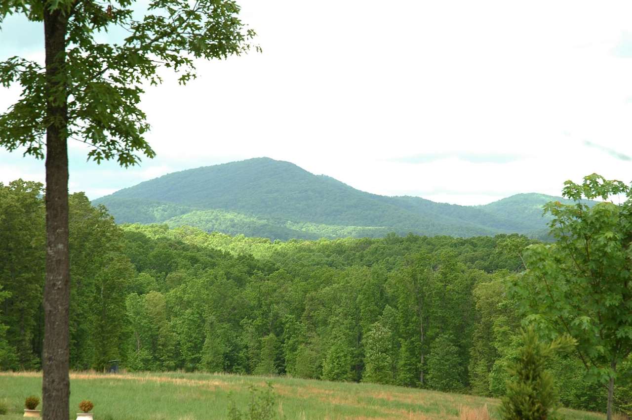 4981 Laurel Road Shipman, VA 22971 - Photo 3 of 34 a view of a lush green field with a tree