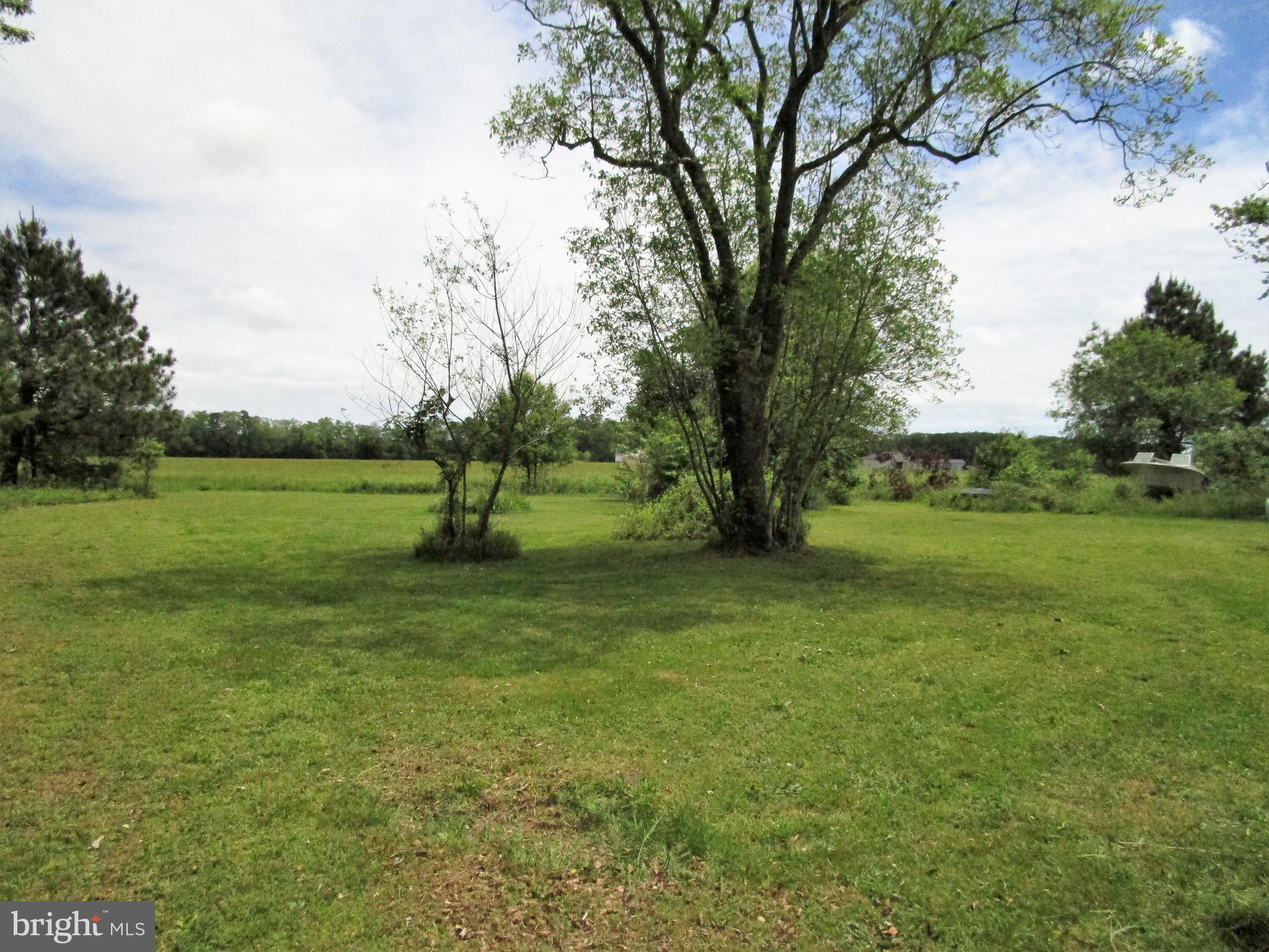 8330 Little Brown Road Eden, MD 21822 - Photo 27 of 34 back yard