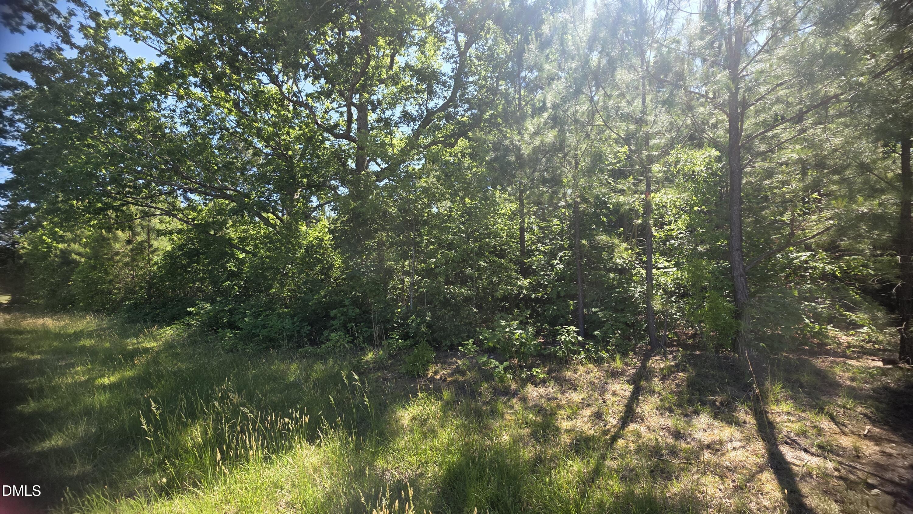 0 Laurel Mill Road Louisburg, NC 27549 - Photo 5 of 24