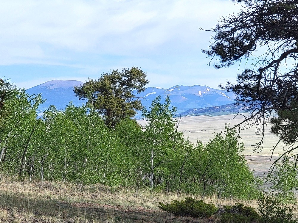 964 Redhill Road Fairplay, CO 80440 - Photo 35 of 45 Gallery Image 35
