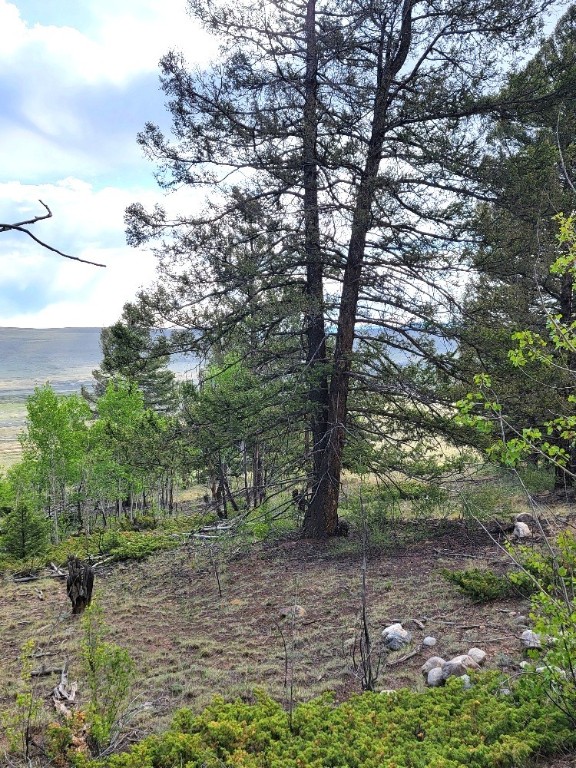 964 Redhill Road Fairplay, CO 80440 - Photo 36 of 45 Gallery Image 36
