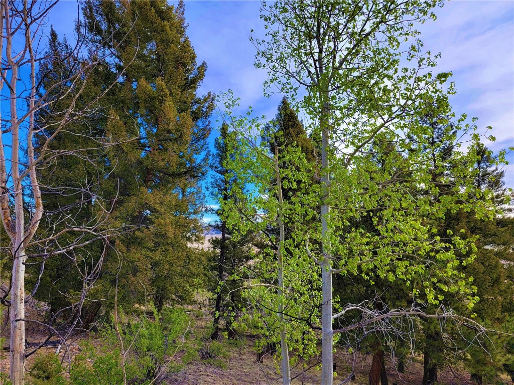 964 Redhill Road Fairplay, CO 80440 - Photo 41 of 45 Gallery Image 41