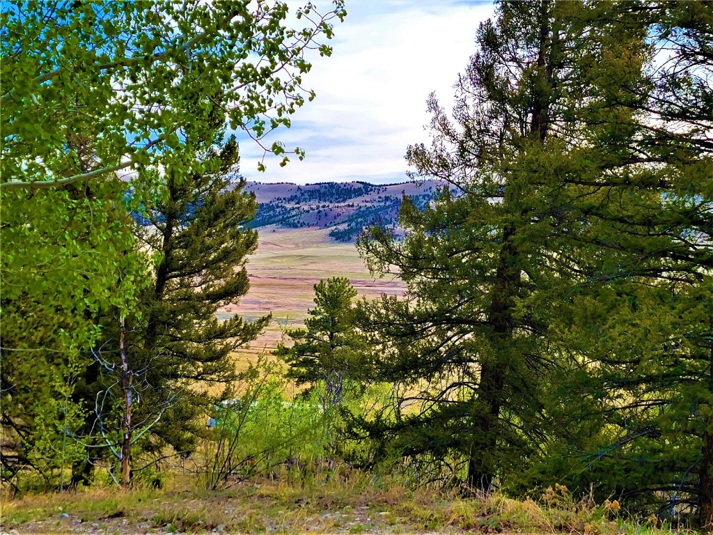 964 Redhill Road Fairplay, CO 80440 - Photo 43 of 45 Gallery Image 43