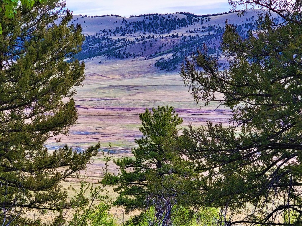 964 Redhill Road Fairplay, CO 80440 - Photo 44 of 45 Gallery Image 44