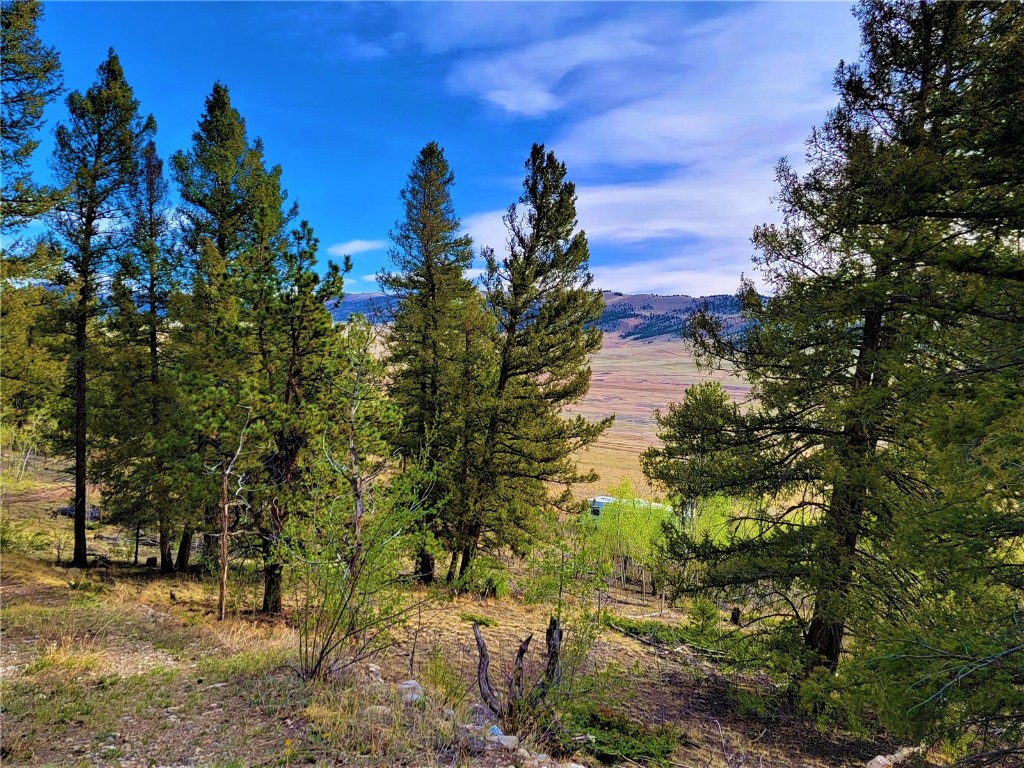 964 Redhill Road Fairplay, CO 80440 - Photo 5 of 45 Gallery Image 5