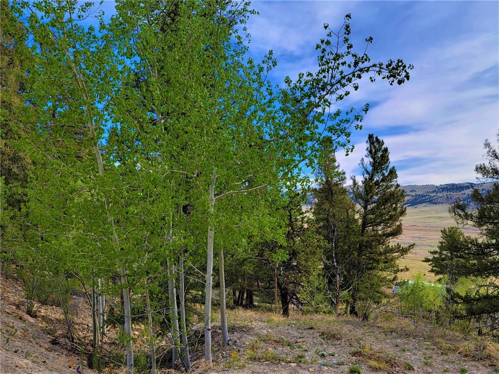 964 Redhill Road Fairplay, CO 80440 - Photo 10 of 45 Gallery Image 10