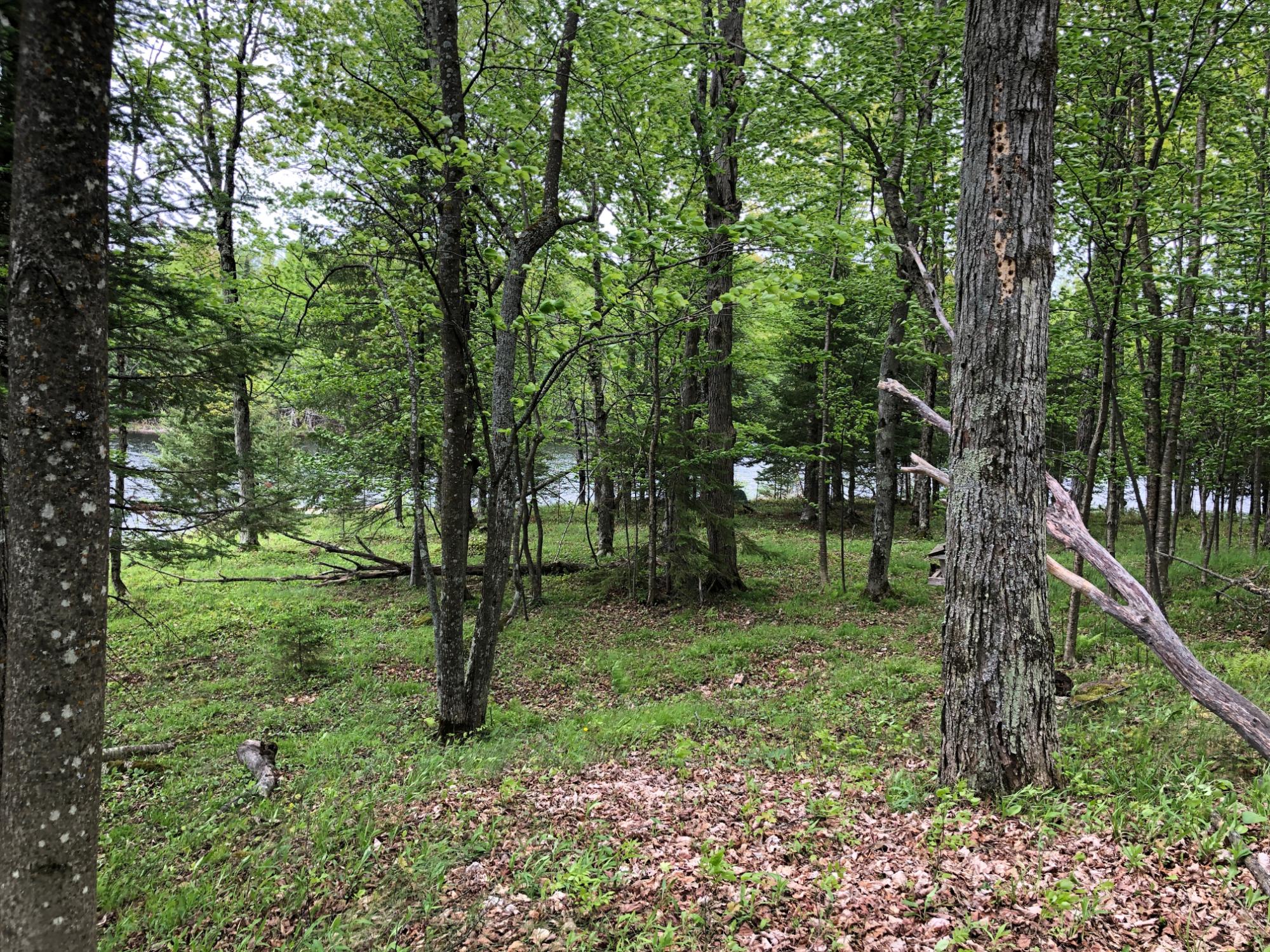 11541 Oxbow Road Presque Isle, WI 54557 - Photo 9 of 32 Gallery Image 9